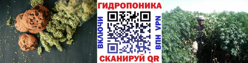 Canna-Cookies марихуана  купить  сайты  Калачинск 