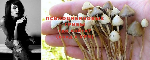 стаф Абаза