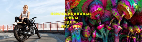 spice Заводоуковск