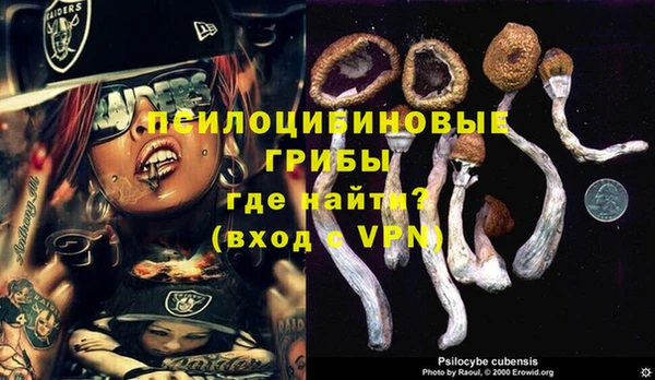 a pvp Алексеевка