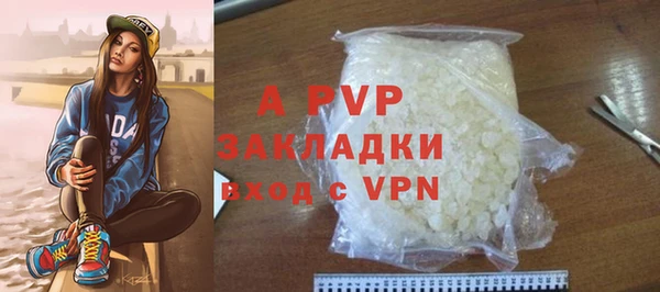 стаф Абаза